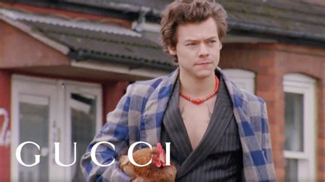 gucci harry style|harry styles youtube.